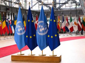 UN EU Flags